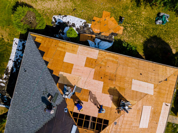 Best Roof Gutter Cleaning  in Springfield, GA