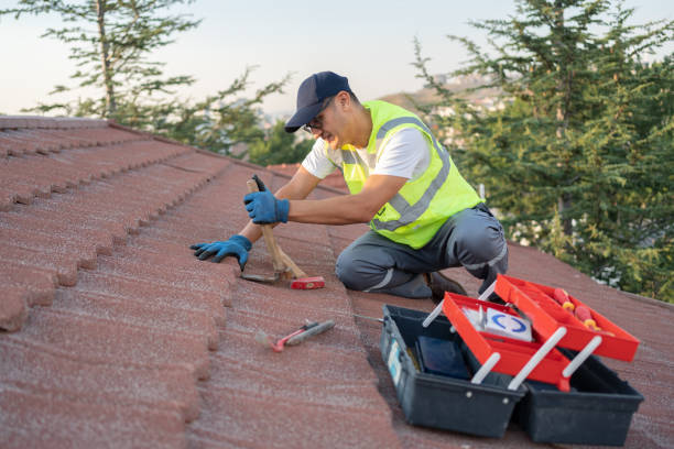 Best Roofing Contractor Near Me  in Springfield, GA