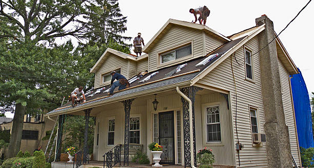 Best Flat Roof Repair Services  in Springfield, GA