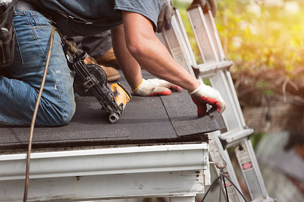 Best Metal Roofing Contractor  in Springfield, GA