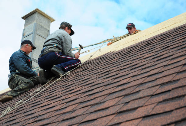 Best New Roof Installation  in Springfield, GA