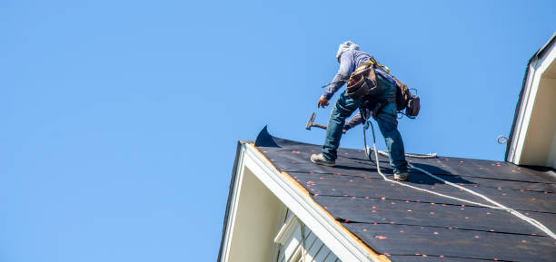 Roof Gutter Cleaning in Springfield, GA